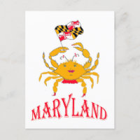 Joyeux crabe du Maryland
