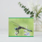 Carte Postale Joyeux DragonFly (Debout devant)