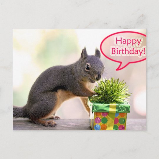 Carte Postale Joyeux Ecureuil D Anniversaire Zazzle Be