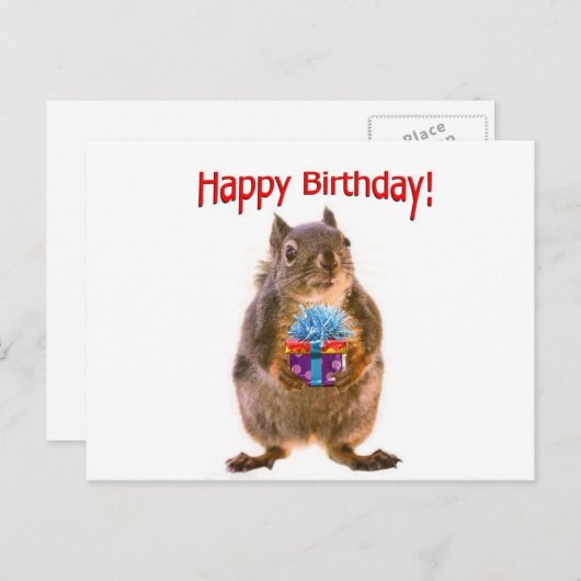 Carte Postale Joyeux écureuil d'anniversaire avec présent (Devant / Derrière)