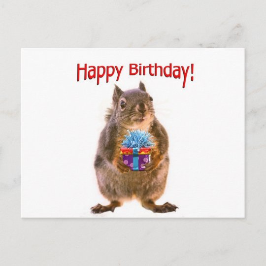 Carte Postale Joyeux Ecureuil D Anniversaire Avec Present Zazzle Be