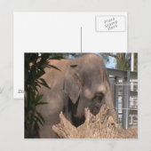 Carte Postale Joyeux éléphant (Devant / Derrière)