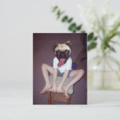 Carte Postale Joyeux enfant à tête carlin. (Debout devant)