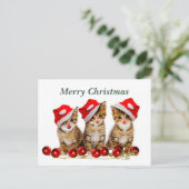 Carte Postale Joyeux félins de Noël (Debout devant)