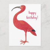 Flamant Rose Rose Joyeux Anniversaire Carte Po Zazzle Be