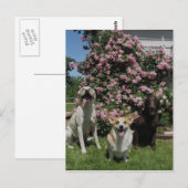 Carte Postale Joyeux garçons (Devant / Derrière)