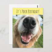 Carte Postale Joyeux Golden Retriever Chien Fête d'anniversaire (Devant / Derrière)