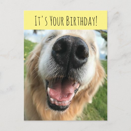 Carte Postale Joyeux Golden Retriever Chien Fête d'anniversaire (Devant)