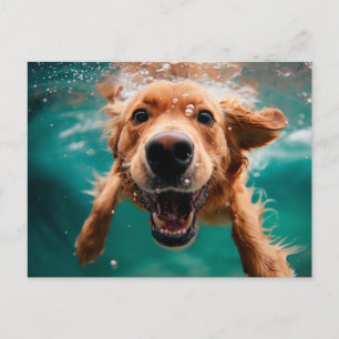 Carte Postale Joyeux Golden Retriever nager sous l'eau