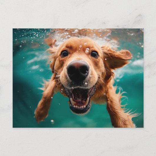 Carte Postale Joyeux Golden Retriever nager sous l'eau (Devant)