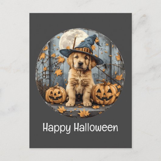 Carte Postale Joyeux Halloween sorcier Golden Retriever Citrouil (Devant)