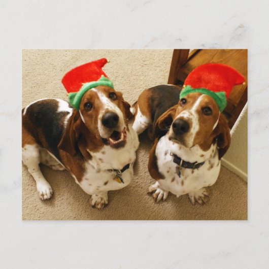 Carte Postale Joyeux Howlidays (Devant)