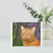 Carte Postale Joyeux Kitty Kat ! (Debout devant)