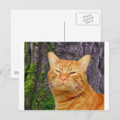Carte Postale Joyeux Kitty Kat ! (Devant / Derrière)