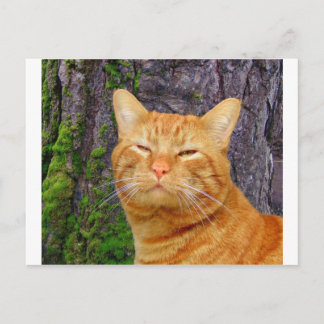 Carte Postale Joyeux Kitty Kat !