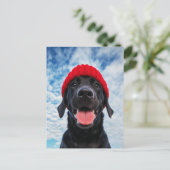 Carte Postale Joyeux Labrador dans une Beanie rouge sous un ciel (Debout devant)