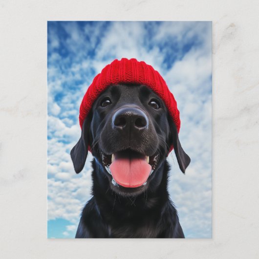 Carte Postale Joyeux Labrador dans une Beanie rouge sous un ciel (Devant)