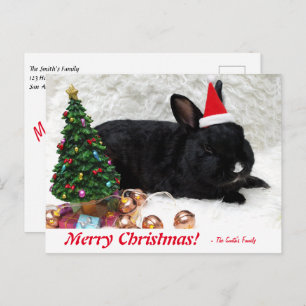 Carte postale Joyeux lapin de Noël personnalisé