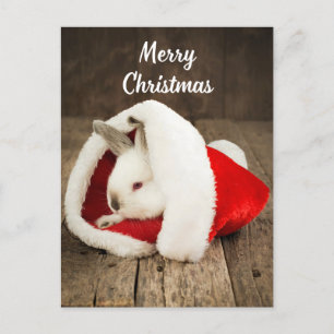 Carte Postale Joyeux lapin mignon de Noël à Santa Hat