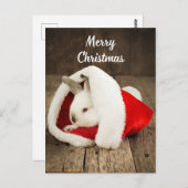 Carte Postale Joyeux lapin mignon de Noël à Santa Hat (Devant / Derrière)