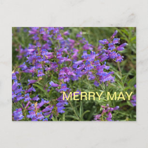 Carte Postale Joyeux mai