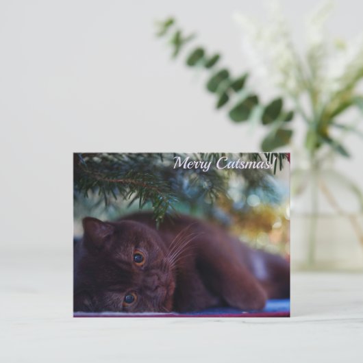 Carte postale Joyeux Noël (Debout devant)