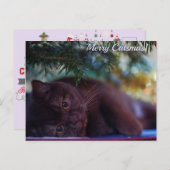 Carte postale Joyeux Noël (Devant / Derrière)