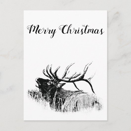 Carte Postale Joyeux Noël (Devant)