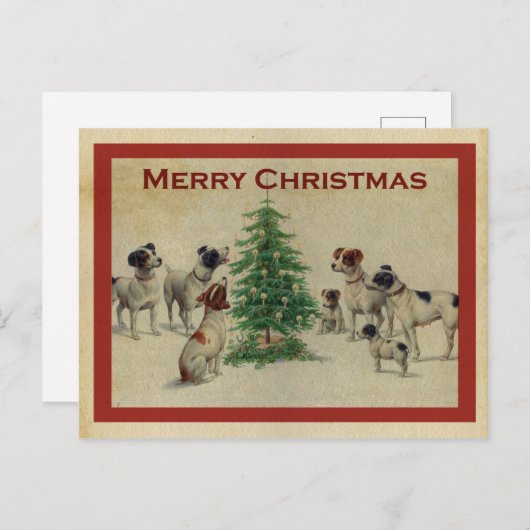 Carte Postale Joyeux Noël (Devant / Derrière)