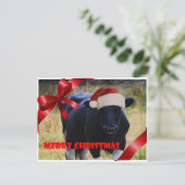 Carte postale Joyeux Noël à la vache noire (Debout devant)