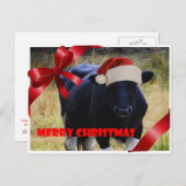 Carte postale Joyeux Noël à la vache noire (Devant / Derrière)