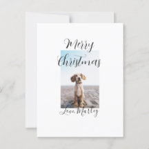 Joyeux Noël animal chat chat photo cadeaux de vaca