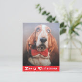 Carte postale Joyeux Noël Basset Hound (Debout devant)