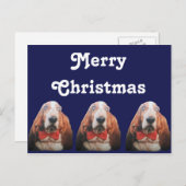 Carte postale Joyeux Noël Basset Hounds (Devant / Derrière)