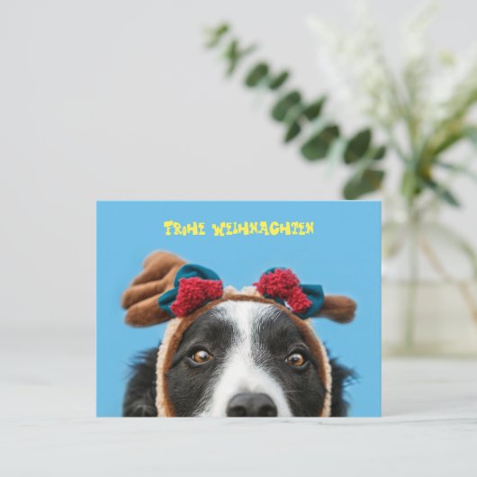 Carte Postale Joyeux Noël Border Collie (Debout devant)