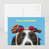 Carte Postale Joyeux Noël Border Collie (Devant / Derrière)