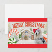 Carte Postale Joyeux Noël Chien de Fête (Devant / Derrière)