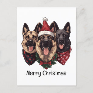 Carte Postale Joyeux Noël Chiens bergers allemands