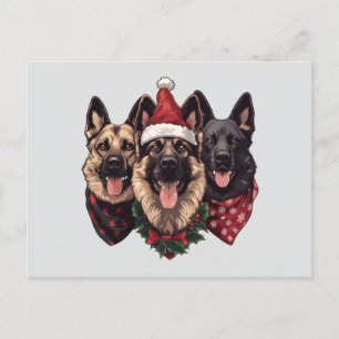 Carte Postale Joyeux Noël Chiens bergers allemands