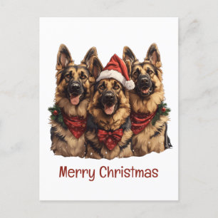 Carte Postale Joyeux Noël Chiens bergers allemands
