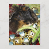 Carte Postale Joyeux Noël Cochon d'Inde (Devant)
