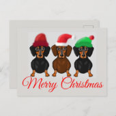 Carte Postale Joyeux Noël Dachshund (Devant / Derrière)
