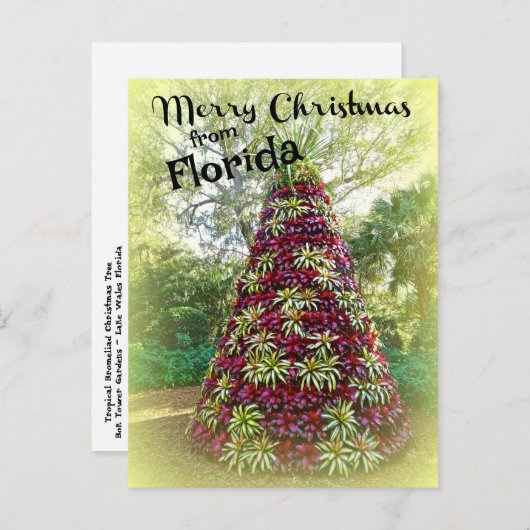 Carte Postale Joyeux Noël de Floride Bromeliad Tree (Devant / Derrière)