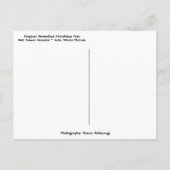 Carte Postale Joyeux Noël de Floride Bromeliad Tree (Dos)