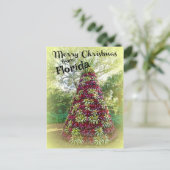 Carte Postale Joyeux Noël de Floride Bromeliad Tree (Debout devant)