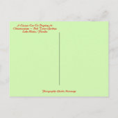 Carte Postale Joyeux Noël de Floride Classic Car Bok Tower (Dos)