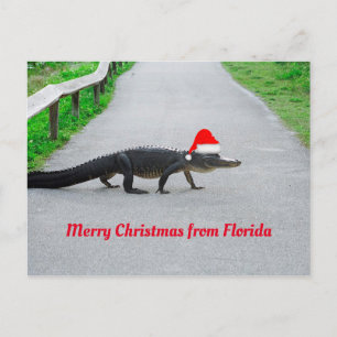 Carte Postale Joyeux Noël de Floride drôle d'alligator