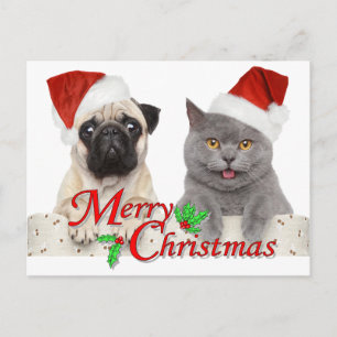 Carte Postale Joyeux Noël de Père Noël Cat and Dog