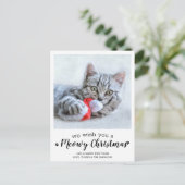 Carte Postale Joyeux Noël Du Chat Modern Animaux Photo Holi (Debout devant)