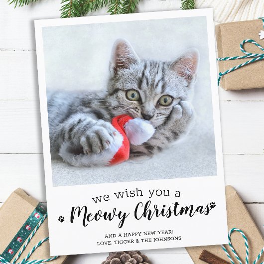 Carte Postale Joyeux Noël Du Chat Modern Animaux Photo Holi